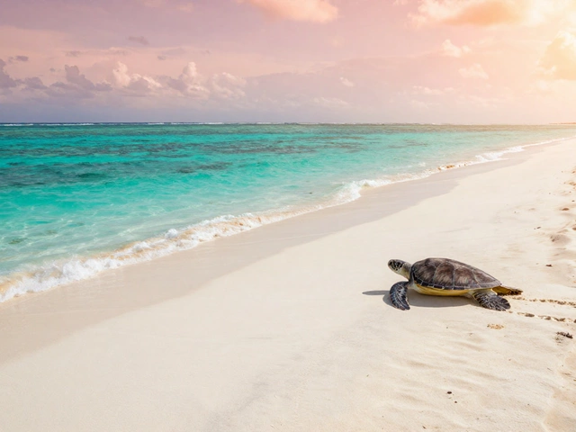 Самые красивые пляжи в мире: где отдыхать в 2025 году