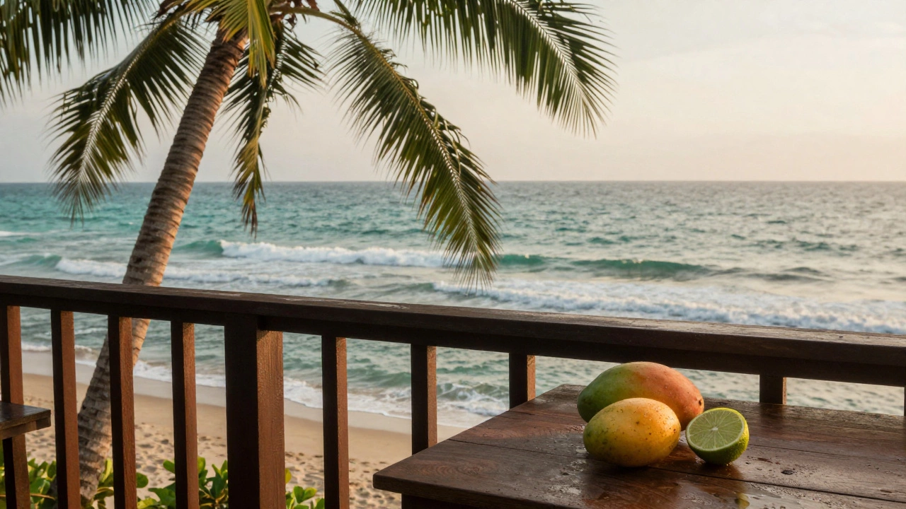 Какой кайф от Тропикамида: почему тропики захватывают душу