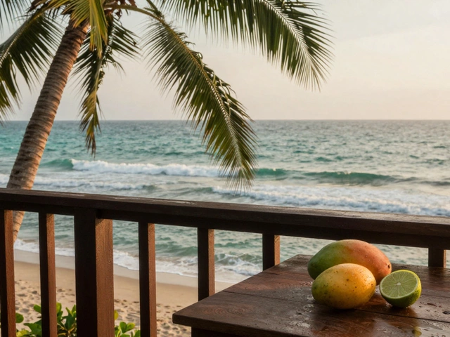 Какой кайф от Тропикамида: почему тропики захватывают душу