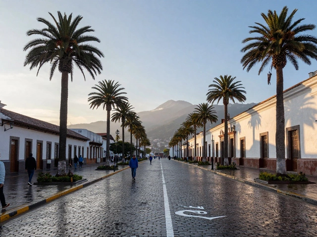 Где в мире одинаковая погода круглый год? Лучшие места для стабильного климата