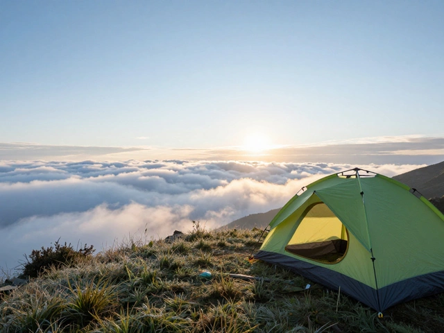 Польза гор: как походы меняют здоровье и психику